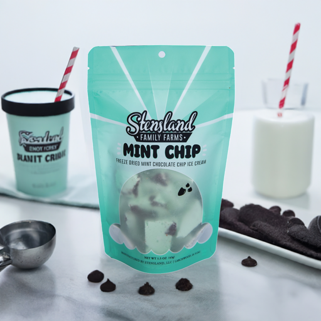 Mint Chip - Freeze Dried Ice Cream